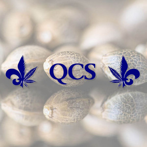 QCS - sacbee