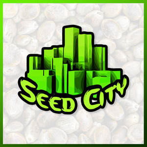 seed city - bnd