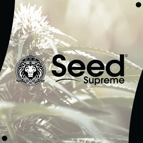 seed supreme modbee