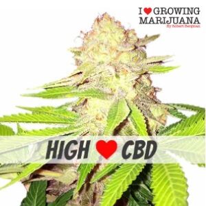 Best Cannabis Seeds - ILGM Strawberry Kush - SanLuisObispo