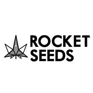 Buy Weed Seeds - Rocket Seeds - SanLuisObispo