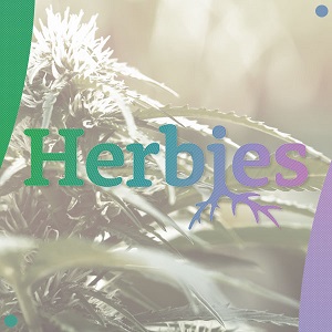 Best Autoflower Seed Banks - Herbies - Modbee