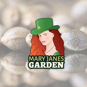 Best Cannabis Seed Banks - MaryJanes Garden - Sacbee