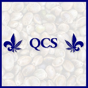 Best Cannabis Seed Banks - QCS - Bnd