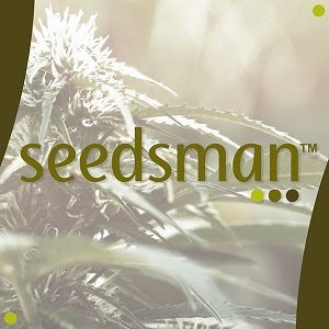 Best Cannabis Seed Banks - Seedsman - Modbee