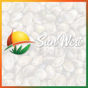 Best Cannabis Seed Banks - Sunwest Genetics - Bnd