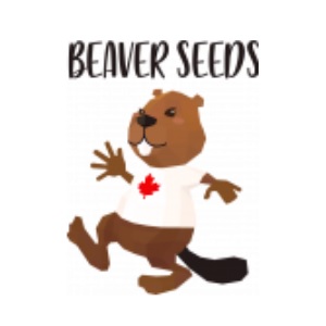 Best Weed Seed Banks - Beaver Seeds - MercedSunStar