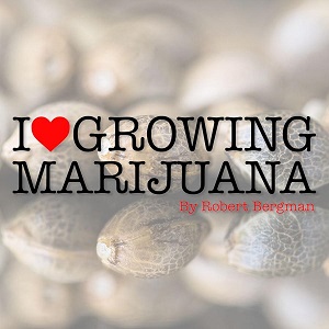 Marijuana Seeds for Sale - ILGM - Sacbee