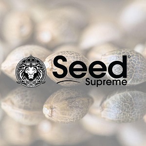 Marijuana Seeds for Sale - Seed Supreme - Sacbee