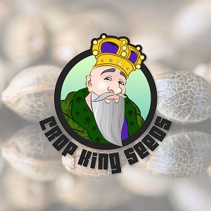 Cheap Marijuana Seeds - CKS - Sacbee