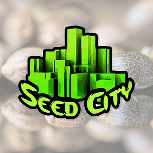 Cheap Marijuana Seeds - SeedCity - Sacbee