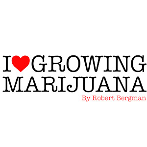 Marijuana Seeds for Sale - ILGM - Inquirer