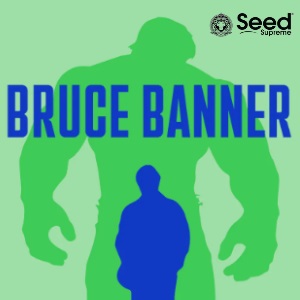 Bruce Banner Seeds Seed Supreme Sacbee