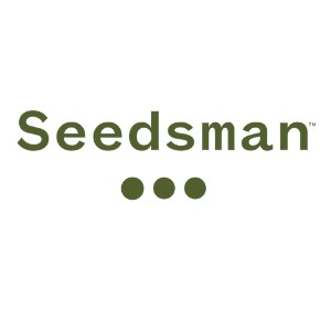 CannabisSeedsforSale Seedsman MercedSunStar