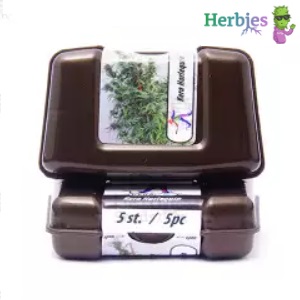 Harlequin Seeds HerbiesSeeds Sacbee
