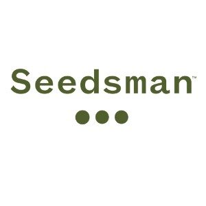 Rocket Seeds Review Seedsman Sanluisobispo