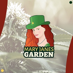 Buy Weed Seeds MaryJanesGarden Modbee